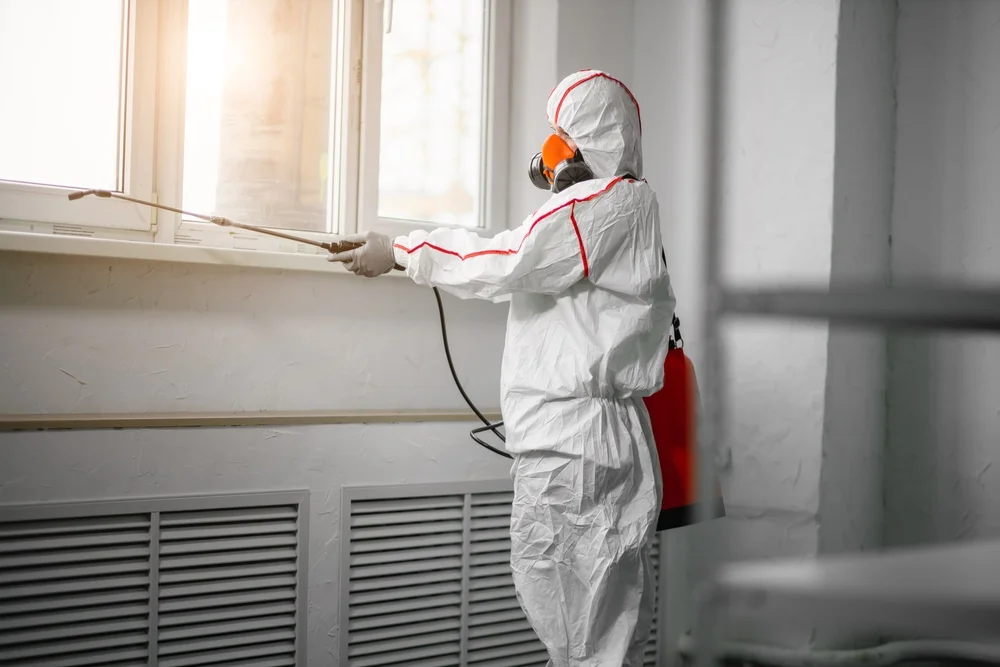 Professional mold remediation services in Meldrim, GA